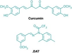 Molecular structures of Curcumin and J147.