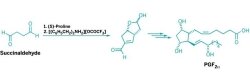 A reaction scheme showing an aldol cascade reaction of succinaldehyde.