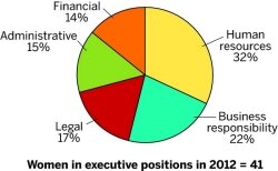 This pie chart shows the divisions the 41 female executives are part of.