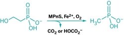 This scheme shows how methylphosphonate is made by some aquatic organisms.