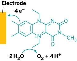 Schematic of organcatalyst.