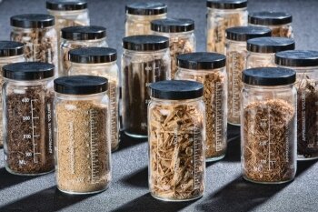 A variety of woody biomass feedstocks sit in 450ml wide-mouth bottles.